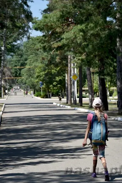 Аллея тысячи сосен горячий ключ