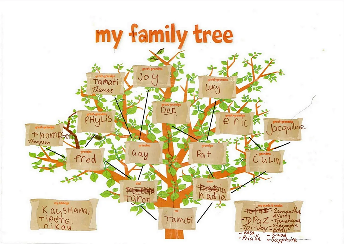 Семейное древо (английский язык) – Развитие ребенка | Family tree, Worksheets, Sisters