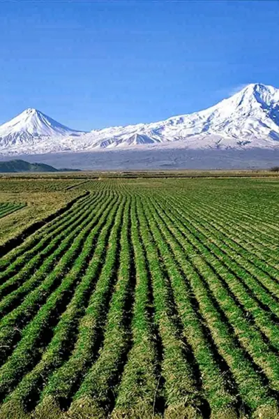 Араратская Долина Армения