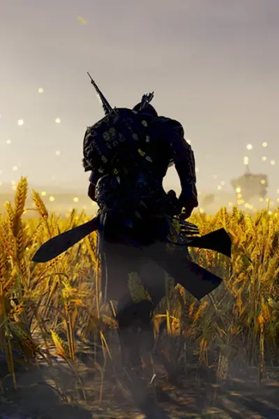 Assassins Creed Origins поля Иалу