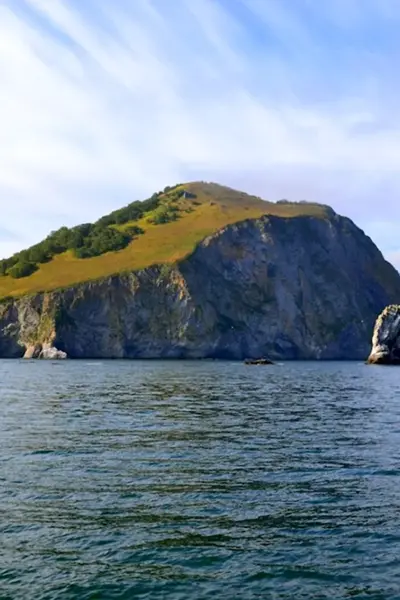 Авачинская бухта остров старичков