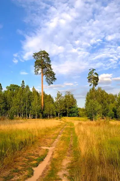 Барские пруды Фрязино