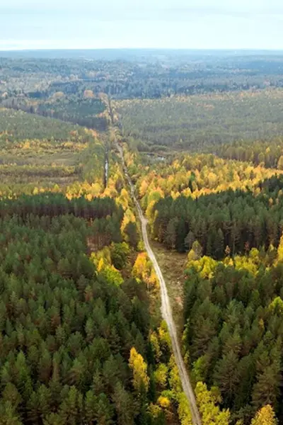 Черняевский лес Пермь