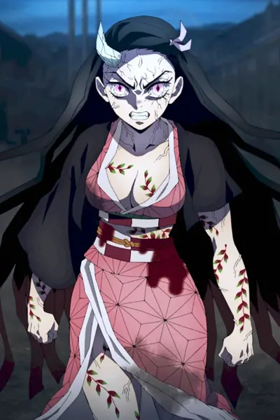 Demon Slayer Kimetsu no Yaiba daki