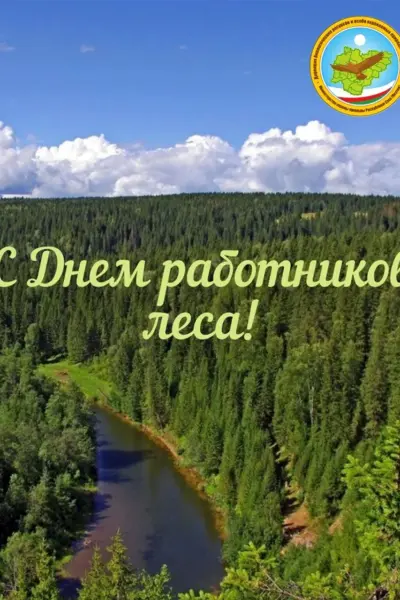 День леса