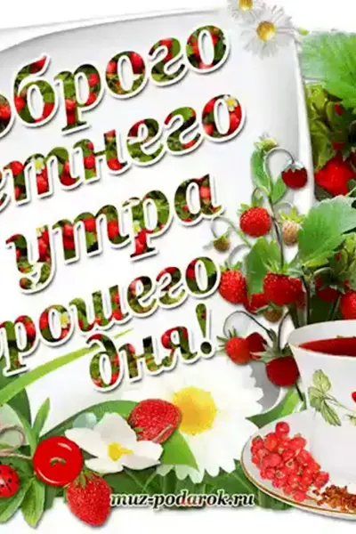 Доброго летнего утра и хорошего дня