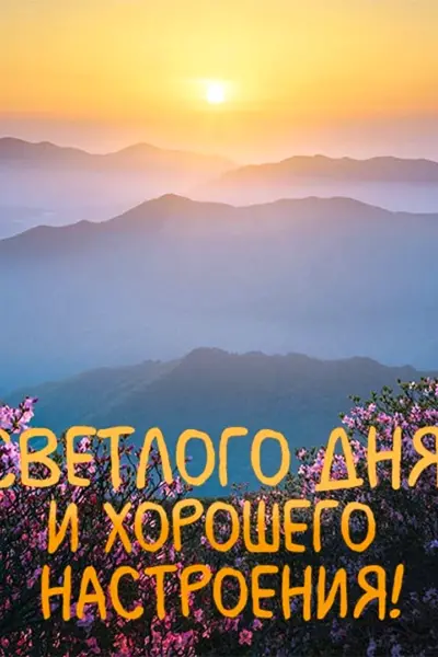 Доброго солнечного дня
