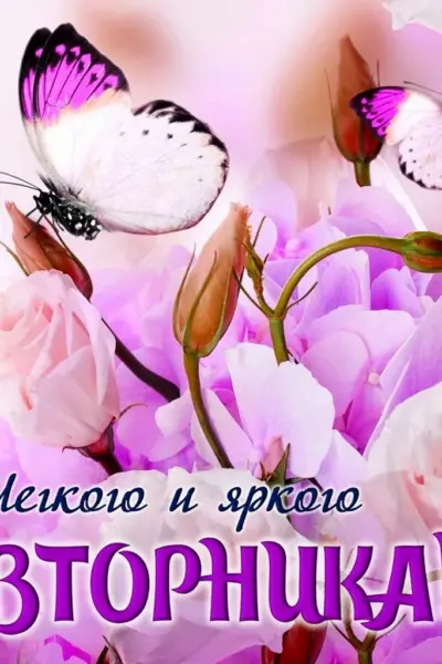 Доброго вторника