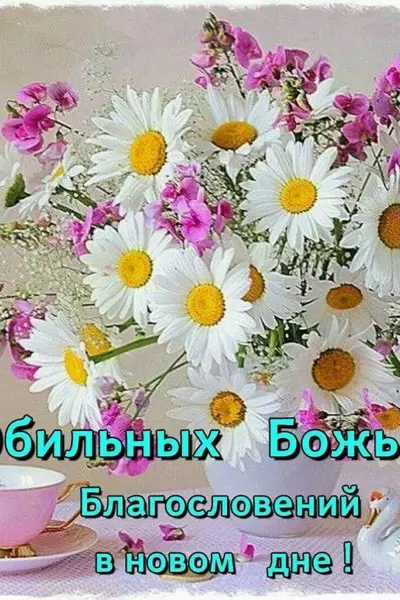 Добрый день Божьих благословений