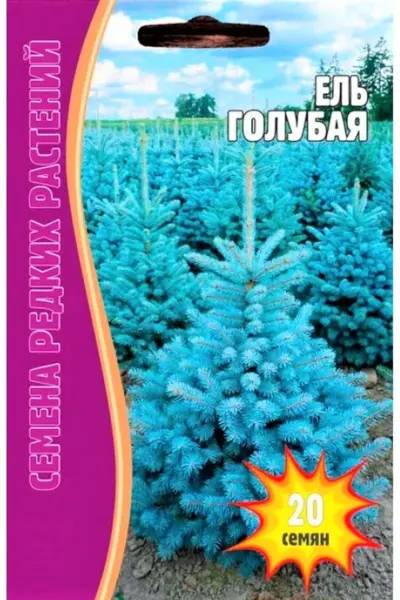Ель голубая 20шт семена редких растений