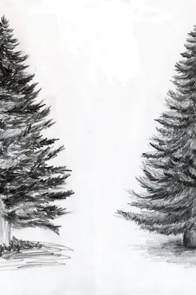 Ель карандашом