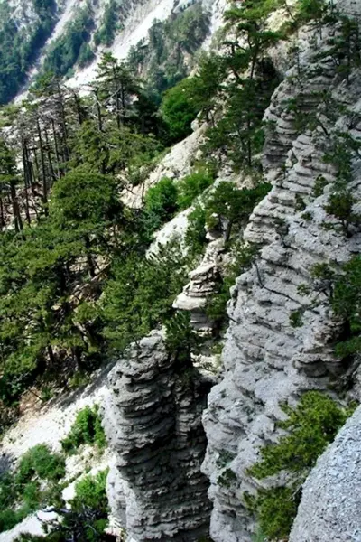 Горно Лесной заповедник Ялта