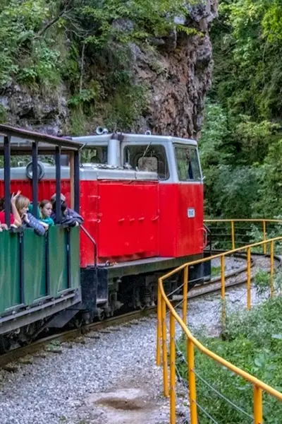 Гуамское ущелье паровоз