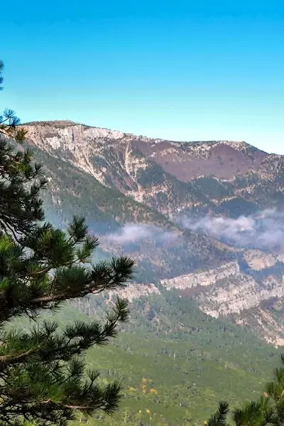 Ялтинский Горно Лесной заповедник в Крыму