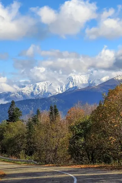 Яворова Поляна Гузерипль