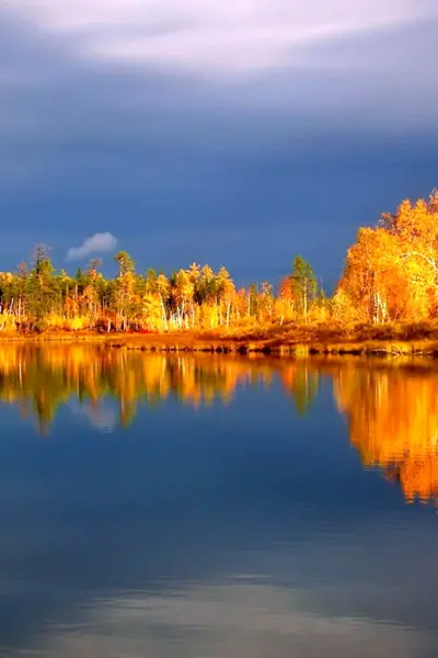 Юганский заповедник ХМАО