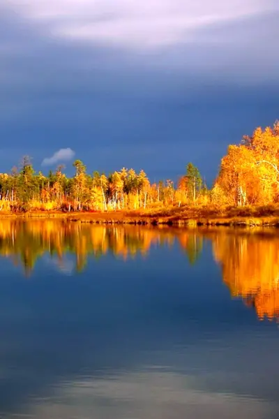 Юганский заповедник ХМАО