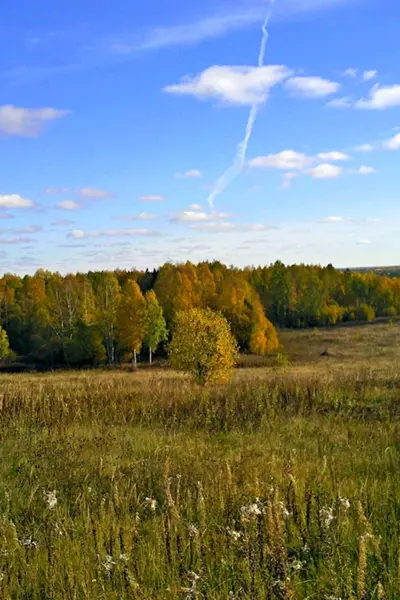 Юрьянский район Кировской области