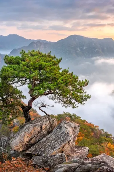 Южная Корея Bukhansan National Park