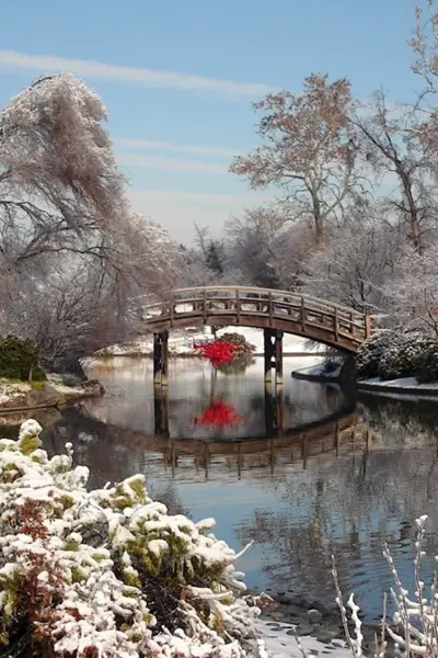 Japan Landscape Винтер