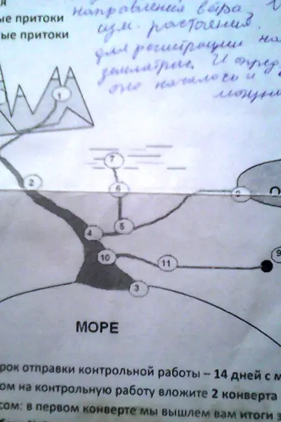 Какой цифрой на рисунке обозначено Устье