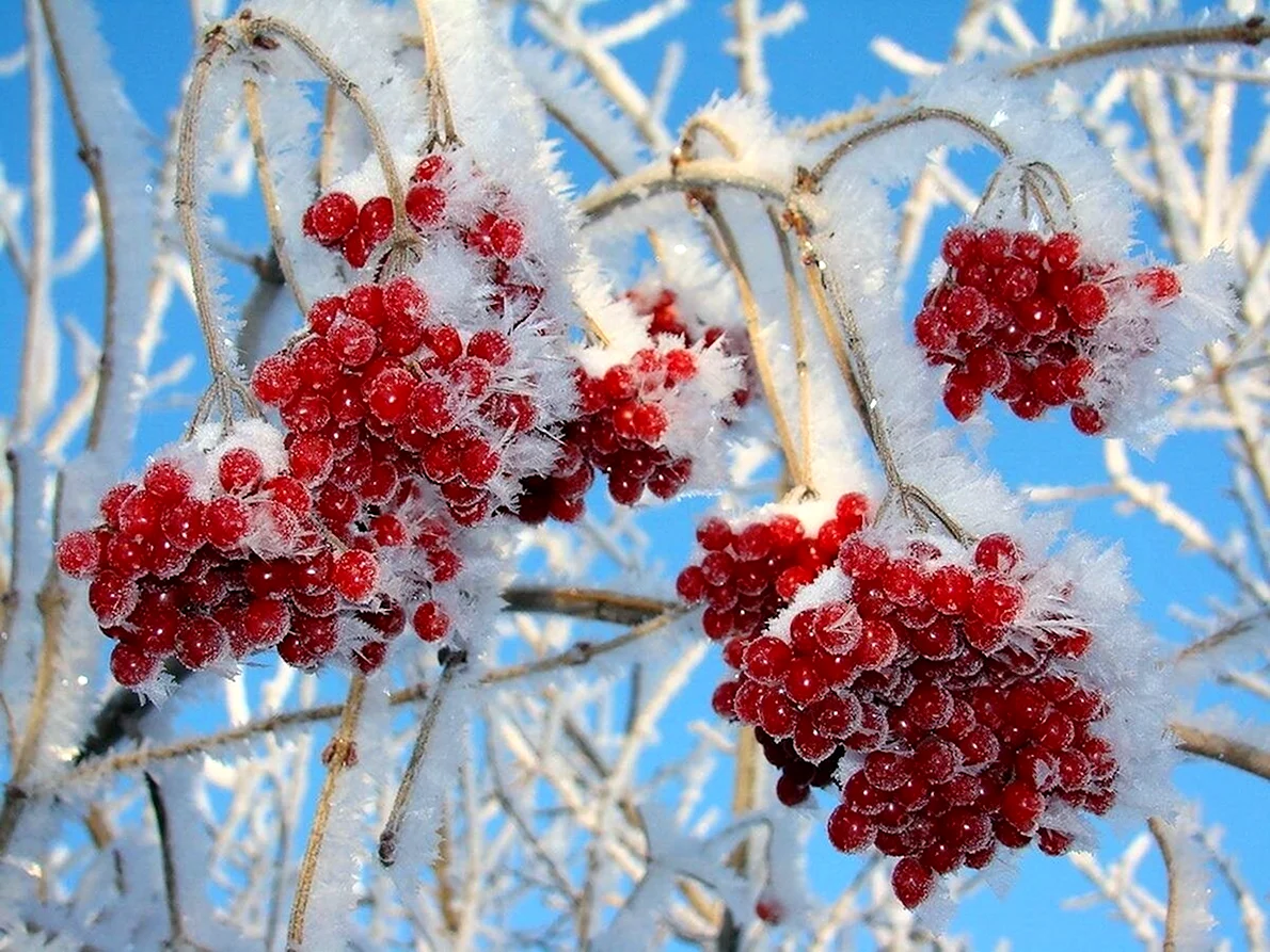 Зимняя веточка с подарочком, 1 шт