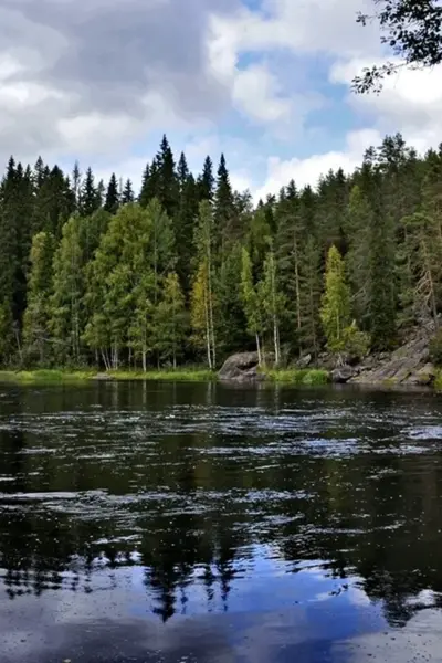 Карелия Таежные реки