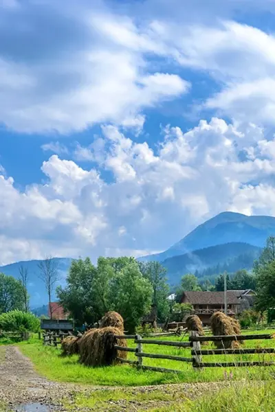 Карпаты Лазещина