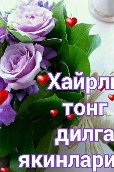 Хайрли Тонг