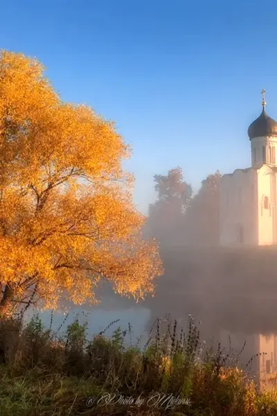 Храм Покрова на Нерли осень