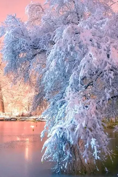 Красота зимой