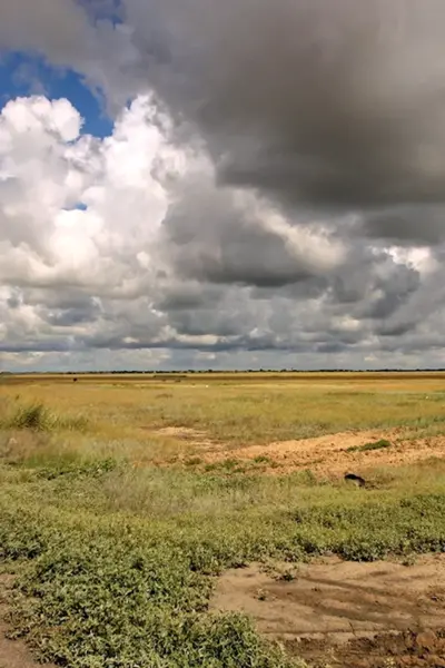 Кулундинская равнина Алтайский край