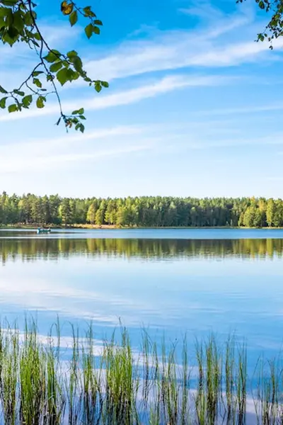 Лесное озеро Истра