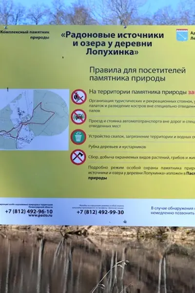 Лесное Радоновое озеро Сестрорецк