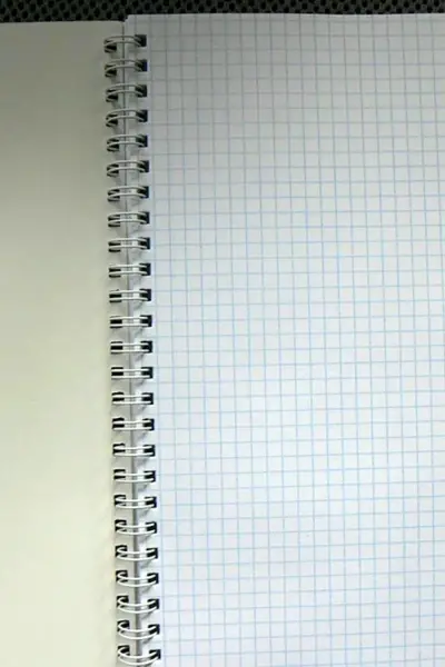 Лист в клетку