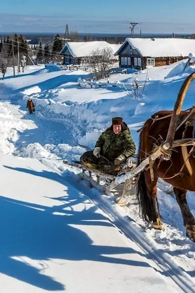 Лошадь с санями