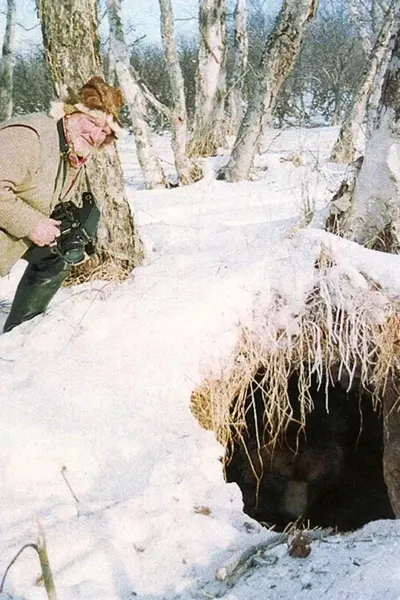 Медвежья Берлога Берлога медведя