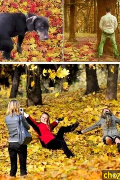 Мемы про осень