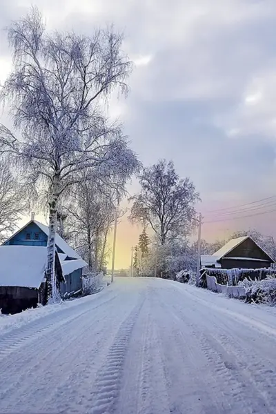 Морозное утро Сибирская деревня