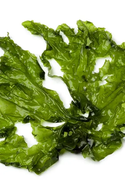 Морская капуста Spinach Green