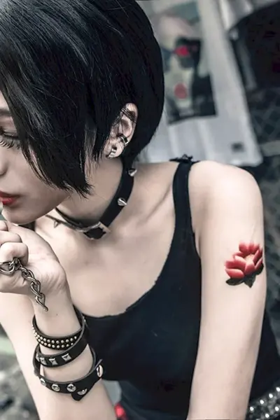 Nana Osaki аниме