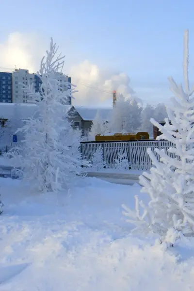 Нижневартовск зима