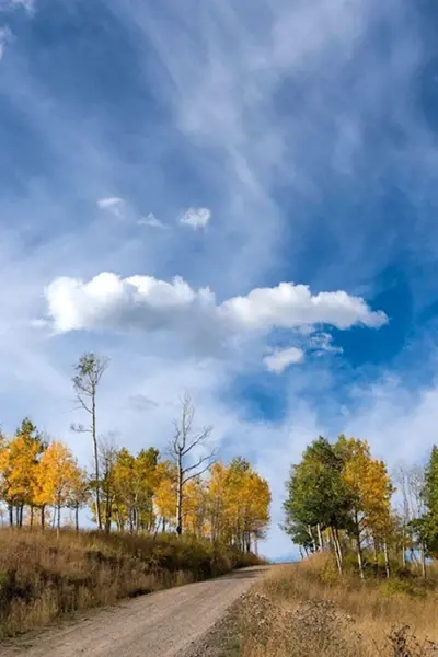 Осень небо