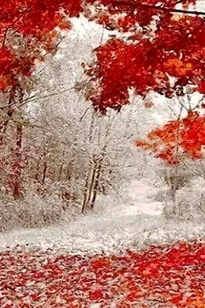 Осень-зима листва