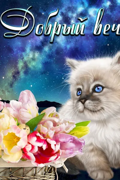 Открытки добрый вечер