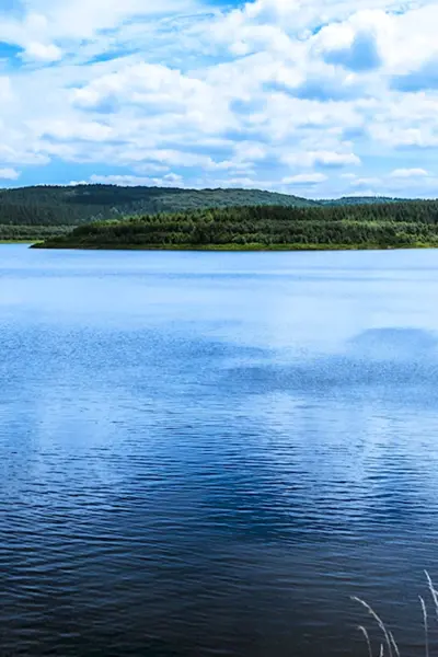 Озера пруды водохранилища