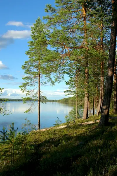 Озеро Лососинное Карелия