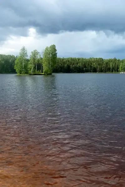 Парк Осиновая роща Санкт-Петербург озеро