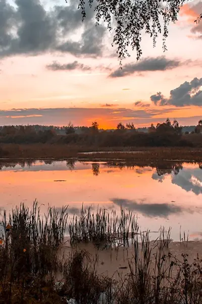 Пейзаж вечер