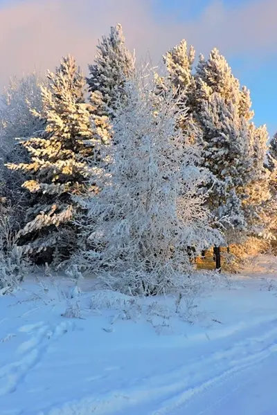 Пейзаж Зимушка зима